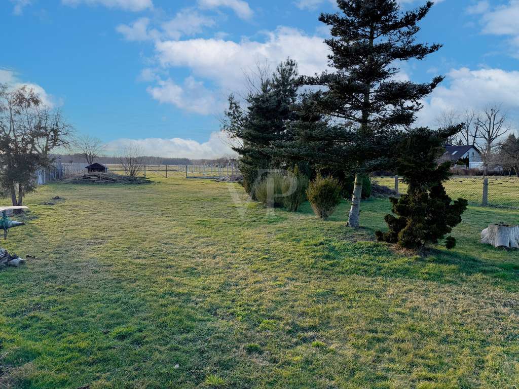 Immobilie in Hermsdorf - Ländliche Wohnidylle -  DHH mit Doppelcarport und großen Garten- und Wiesenflächen - Bild 4