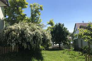 Zweifamilienhaus in bester Wohnlage, provisionsfrei – Die vollständige Adresse der Immobilie erhältst du vom Anbieter., 89343 Jettingen-Scheppach – Vorschaubild 6