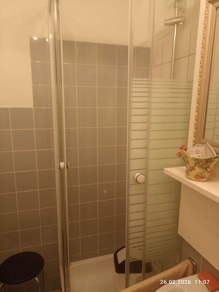 Immobilie in Freyung - Gepflegtes 1-Zimmer-Ferienappartement mit Traumblick - Bild 3