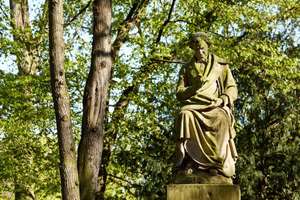 Property thumbnail 30