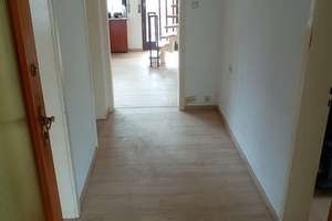 Kapitalanlage in Lampertheim – Zwei Häuser auf einem Grundstück – 68623 Lampertheim – Vorschaubild 5