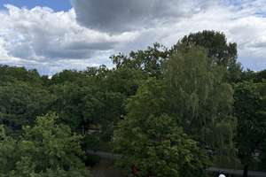Westend! Bezugsfrei - 3-Zimmer-Wohnung mit Balkon - Fahrstuhl - oberste Etage! – Die vollständige Adresse der Immobilie erhältst du vom Anbieter., 14055 Westend, Berlin – Vorschaubild 10