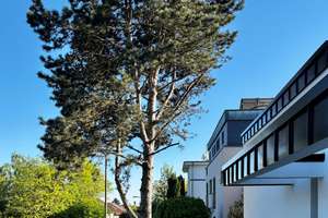 EXKLUSIV SANIERTES EINFAMILIENHAUS IN WIESBADEN-SONNENBERG – Die vollständige Adresse der Immobilie erhältst du vom Anbieter., 65193 Sonnenberg, Wiesbaden – Vorschaubild 20