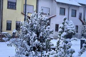 Traumhaftes Reiheneckhaus mit Sauna, Garage & sofort bezugsbereit – Ihr perfektes Familienzuhause! – Schneebergstrasse 43, 50765 Blumenberg, Köln – Vorschaubild 37