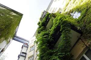 Kollwitzstraße: bezugsfreie 92qm Altbauperle mit Terrasse zum Hof, S-O-W-Ausrichtung, Stuck & Dielen – Kollwitzstraße 74, 10435 Prenzlauer Berg, Berlin – Vorschaubild 32