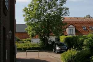 Schöne 2 Zimmerwohnung in Göhl / Oldenburg - herrliche Lage – Die vollständige Adresse der Immobilie erhältst du vom Anbieter., 23758 Oldenburg in Holstein – Vorschaubild 8
