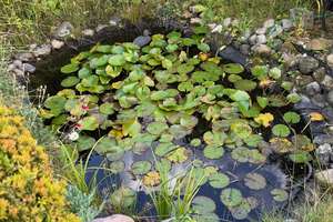 Property thumbnail 11