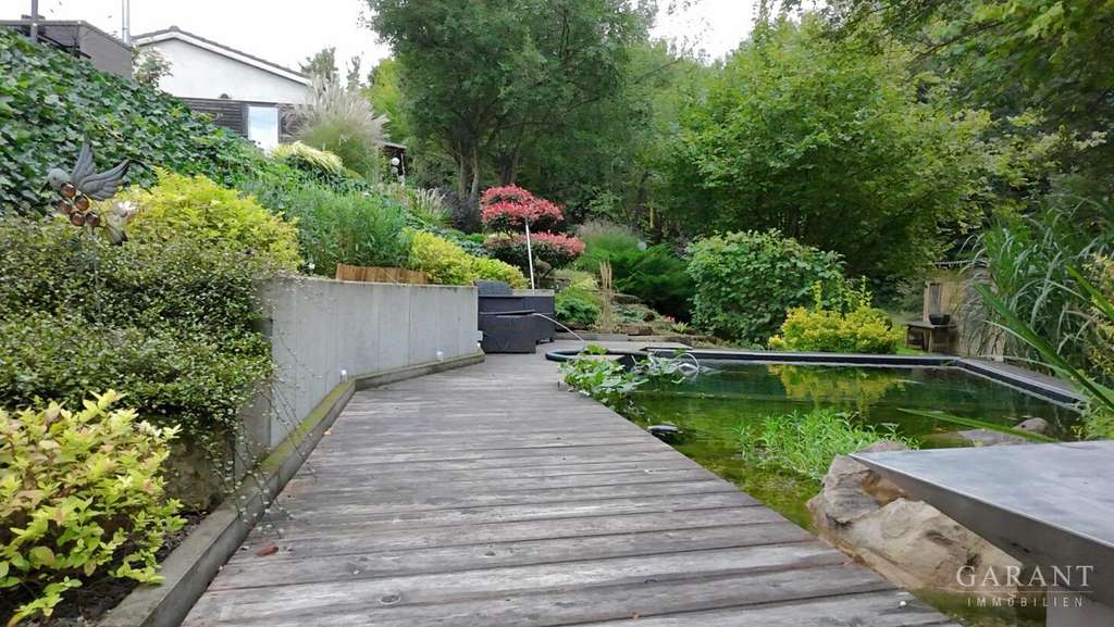 Immobilie in Reifenberg - Wo Träume wachsen - Neubau mit Naturbadeteich in sonniger, grüner Lage - Bild 3