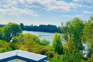 Hochwertiges Wohnhaus - Einzigartiger und unverbaubarer Rheinblick! – Die vollständige Adresse der Immobilie erhältst du vom Anbieter., 55252 Mainz-Kastel, Wiesbaden – Vorschaubild 1