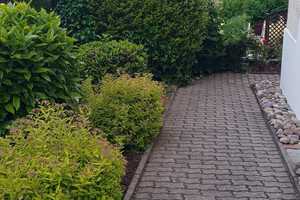 Wohnhaus mit großem Grundstück nahe der Stadtmitte – Hohe Straße 1, 9337 Zwickau (Kreis) – Vorschaubild 30