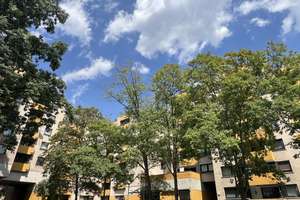 PERFEKT FÜR KAPITALANLEGER -GROSSZÜGIGE & HELLE 3-ZIMMER WOHNUNG MIT BALKON IN  KÖLN-SEEBERG – 50769 Seeberg, Köln – Vorschaubild 3