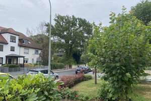 Frankfurt Praunheim Zentrale Lage 3 Zimmer Erdgeschoss mit Garten – 60488 Praunheim, Frankfurt am Main – Vorschaubild 5