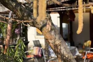 Property thumbnail 51