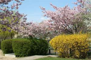 Property thumbnail 6