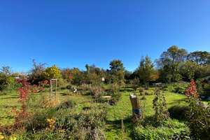 Property thumbnail 11