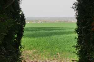AREAS: Lust auf's Land - Traumhaus mit Büro und Pool in ruhiger, grüner Feldrandlage – Meißen (Kreis) – Vorschaubild 7