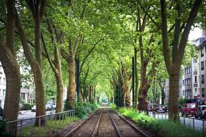 Property thumbnail 11