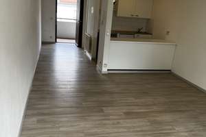 Property thumbnail 3