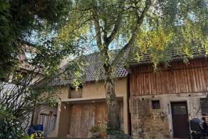 Historisches Fachwerkhaus mit Einliegerwohnung & Scheune im Herzen von Oberderdingen – Obere Gasse 8, 75038 Oberderdingen – Vorschaubild 8