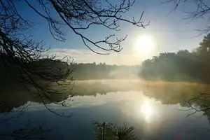 Wochenendhaus am See / Waldlage / Erholung Pur /
Seltene Gelegenheit – Ammerland (Kreis) – Vorschaubild 4
