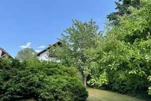 Zweifamilienhaus auf sehr großem Grundstück – Tirschenreuth (Kreis) – Vorschaubild 14