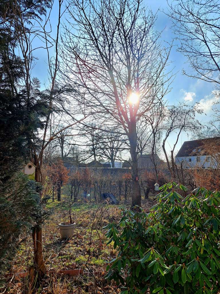 Immobilie in Hohenlockstedt - Erfüllen Sie sich Ihren Traum vom Eigenheim! - Bild 3