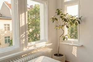 Property thumbnail 14