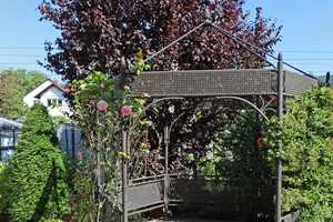 Alles schon gemacht - Variables Haus mit schönem Garten – Darmstadt-Dieburg (Kreis) – Vorschaubild 20