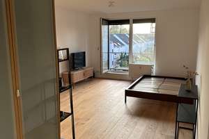 1 Zimmer Apartment (Balkon + Garage + Keller) Renoviert 2026