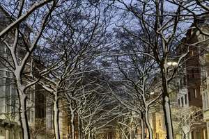 Property thumbnail 16