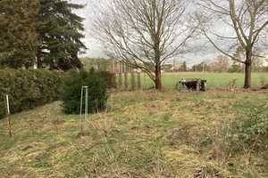 Solide Hülle, viel Potenzial – Oberspreewald-Lausitz (Kreis) – Vorschaubild 10