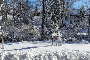 Property thumbnail 14