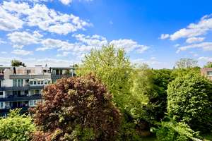 Property thumbnail 9