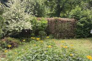 Property thumbnail 13