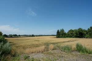 Landleben mit Potenzial: charmanter Resthof zwischen Kiel und Eckernförde – Die vollständige Adresse der Immobilie erhältst du vom Anbieter., 24363 Holtsee – Vorschaubild 14