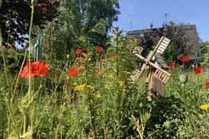 Großes Wohnhaus mit viel Potenzial – Havelland (Kreis) – Vorschaubild 42