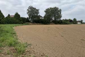 Platz für viele Möglichkeiten: Großzügiges Haus in Dortmund-Sölderholz – Schürhoffstraße 24, 44289 Sölderholz, Dortmund – Vorschaubild 4