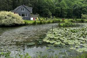 Naturidylle in Alleinlage, 4,7 ha – 55481 Kirchberg im Wald – Vorschaubild 25