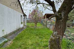 Schönes idyllisches Grundstück in Pankow zum Selbstausbau – Pflaumenblütenweg 19, 13127 Französisch Buchholz, Berlin – Vorschaubild 5
