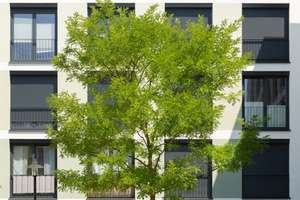 „Ankommen, wohlfühlen, durchstarten“ – Ernsthaldenstr.  47, 70565 Höhenrand, Stuttgart – Vorschaubild 15