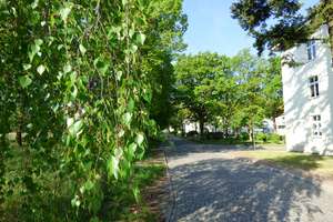 Property thumbnail 13