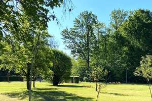 Münsters verborgenes Wohnjuwel – Wohnen im historischen ehemaligen Kamillus-Kolleg im Privatpark – 48157 Gelmer-Dyckburg, Münster – Vorschaubild 28