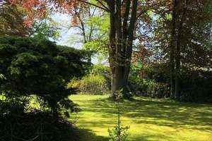 Villa in Köln-Hahnwald 178 m² / 2.000 m² Grundstück – Die vollständige Adresse der Immobilie erhältst du vom Anbieter., 50996 Hahnwald, Köln – Vorschaubild 38
