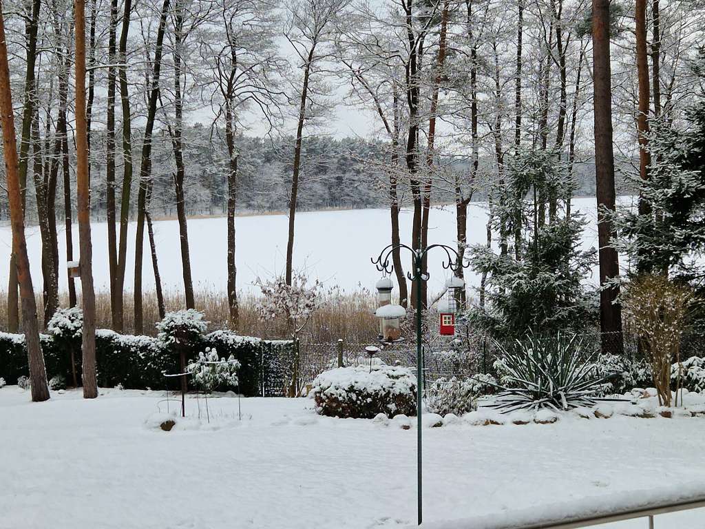 Immobilie in Lindow (Mark) - Luxus-Ferienhaus direkt am See(1.Reihe) - 1200 m² Seegrundstück, 45 Min Berlin - Provisionsfrei - Bild 2