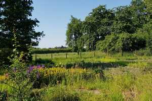 Historisch wertvolle Hofanlage vor den Toren Coesfelds – Coesfeld (Kreis) – Vorschaubild 7