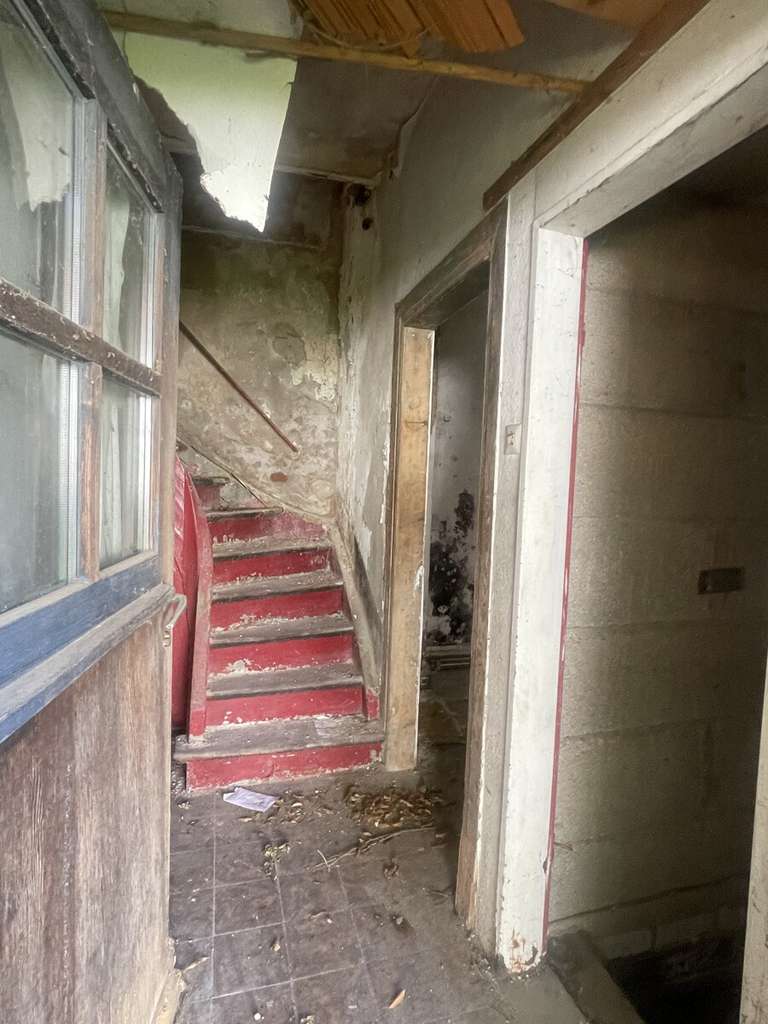 Immobilie in Pfungstadt - Tradition trifft Neubeginn -
Zentrales Juwel mit Neubauperspektive! - Bild 3