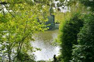 Haus am See – Emsland (Kreis) – Vorschaubild 3