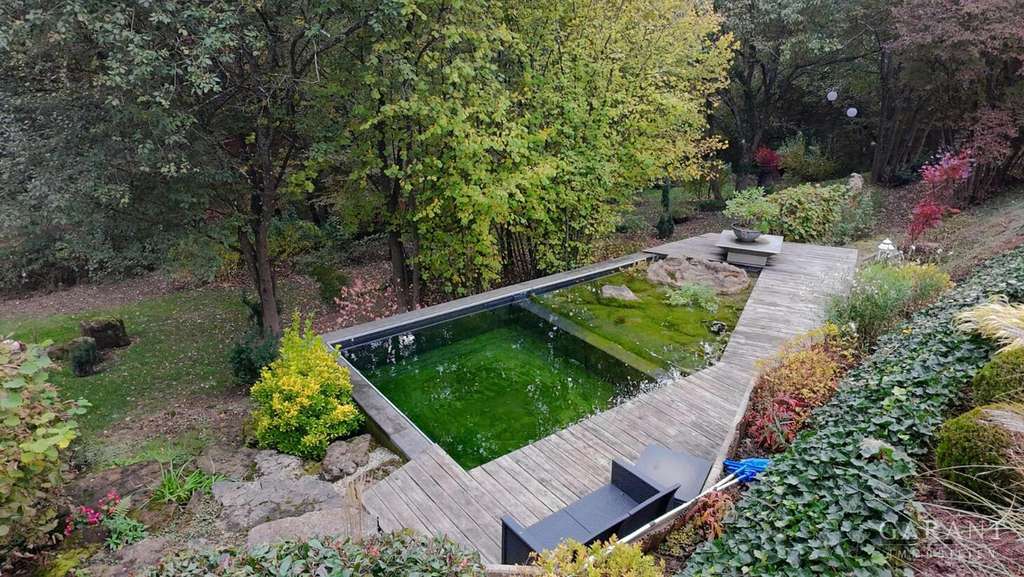 Immobilie in Reifenberg - Wo Träume wachsen - Neubau mit Naturbadeteich in sonniger, grüner Lage - Bild 1