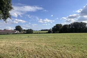 Freistehendes Einfamilienhaus in schöner und ruhiger Lage von Bielefeld-Jöllenbeck – Die vollständige Adresse der Immobilie erhältst du vom Anbieter., 33739 Jöllenbeck, Bielefeld – Vorschaubild 16