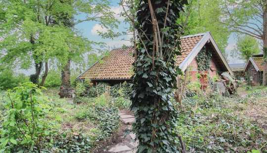 Bild von Gestaltbares Schmuckstück mit großem Garten und viel Potential in Schwicheldt